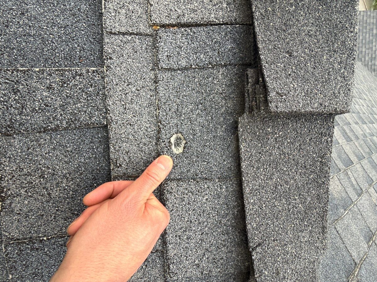 Hail damage on an asphalt shingle roof showing circular impact bruises and granule loss