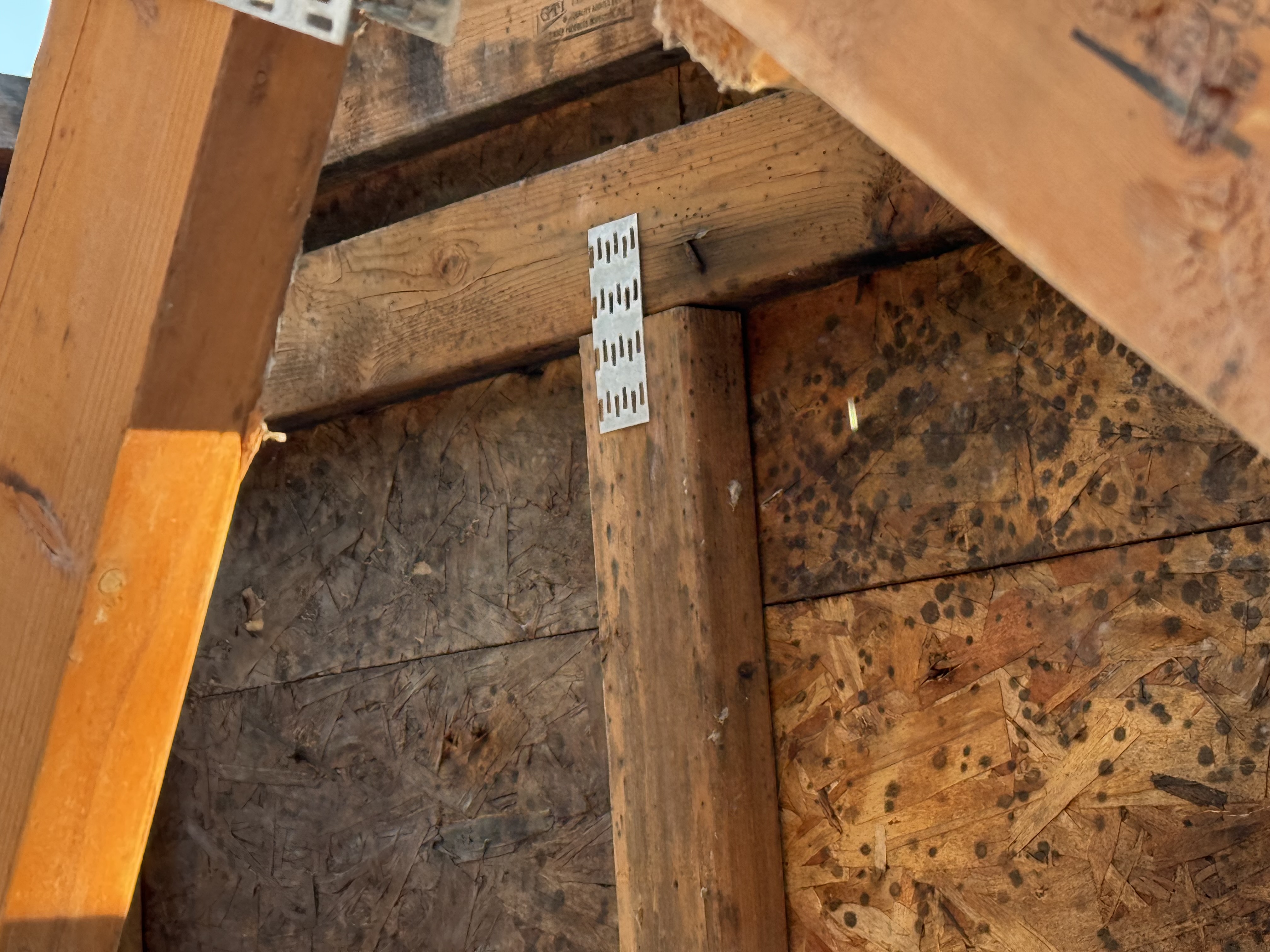 Damaged shingles and underlying decking issues on a North Idaho roof inspection
