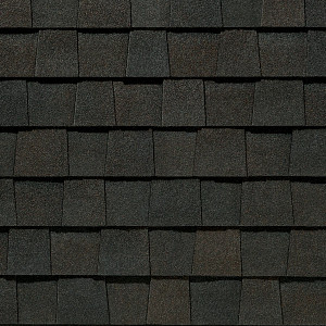 Max Def Black Walnut