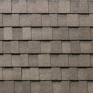 CertainTeed Patriot XL shingle in Trufflewood