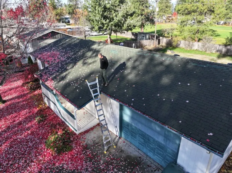 Roof inspection