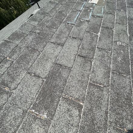 Worn shingle field with granule loss across the tabs