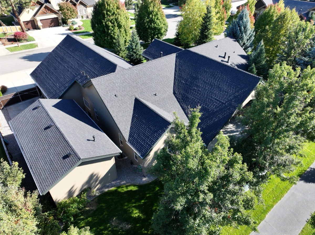 Completed roof — side aerial view through the trees
