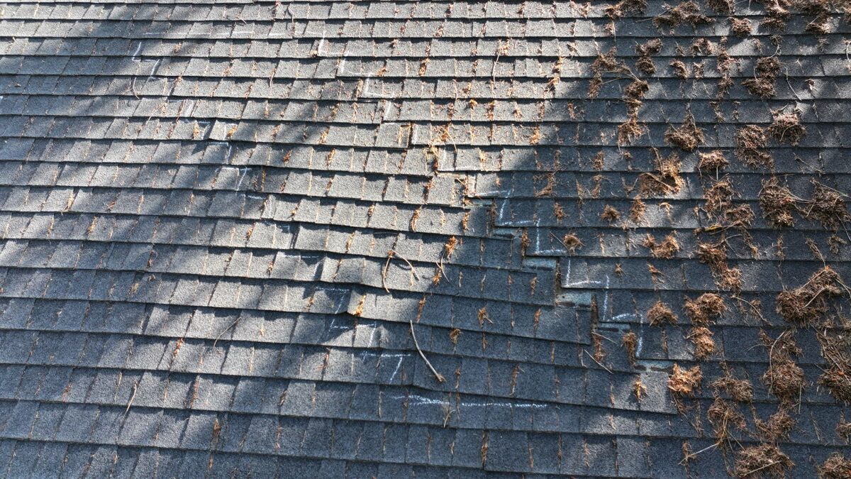 Close-up of wind-damaged area with missing shingles and pine needle debris
