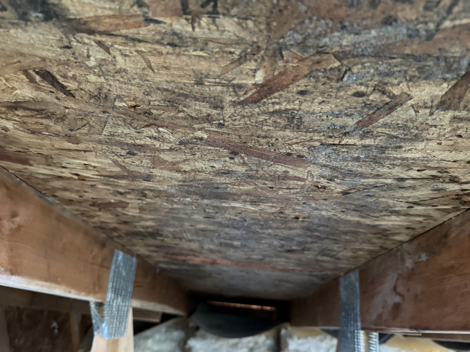 Extensive mold and water damage visible on underside of roof decking