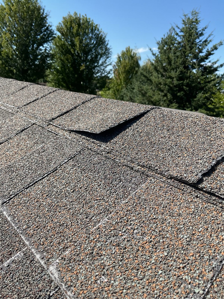 Shingle tabs lifting and curling at the ridge line before replacement