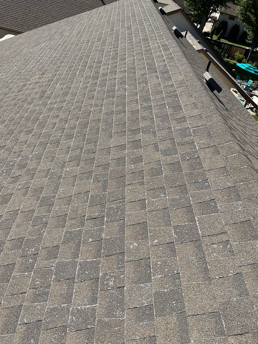 Full roof plane showing widespread granule loss and white fiberglass spots