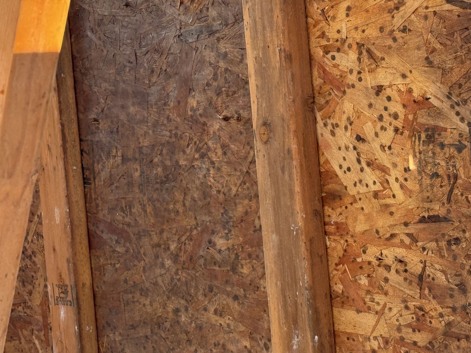 View from attic showing moldy water-damaged decking next to new replacement board