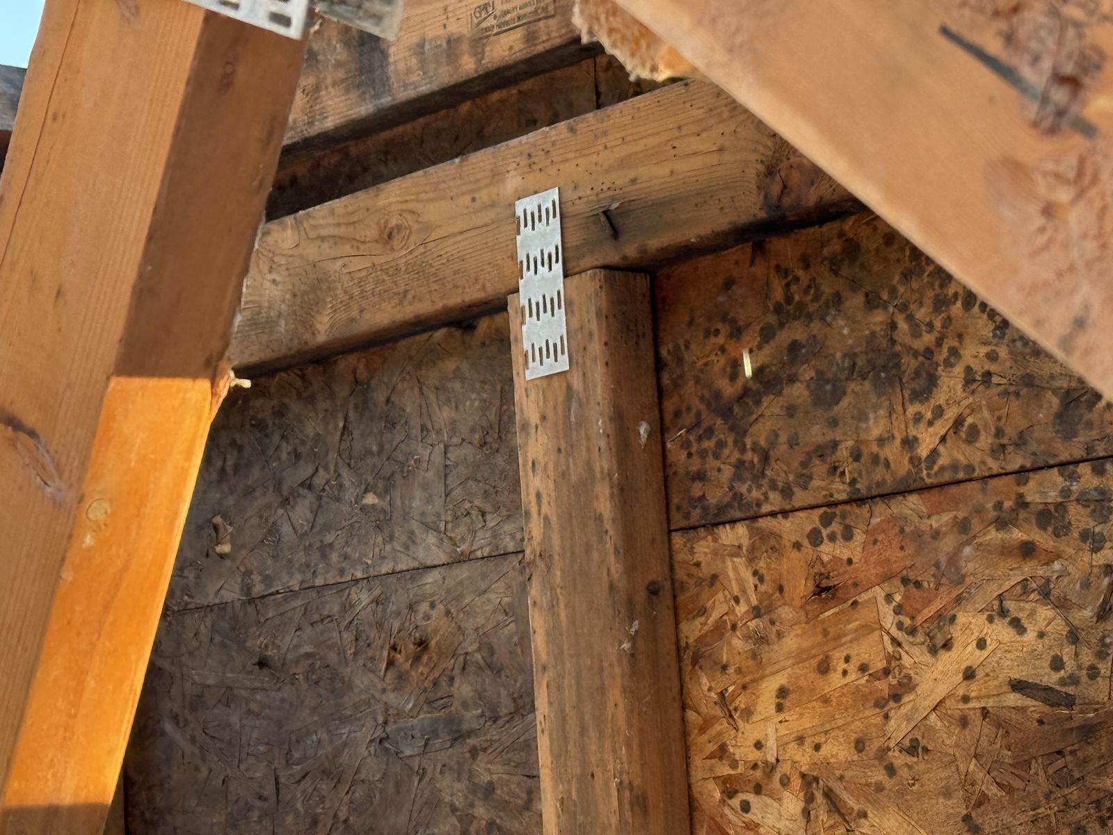 Attic view of mold growth on OSB decking around truss plate connector